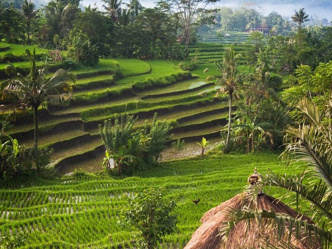Sideman, Bali, Indonesia