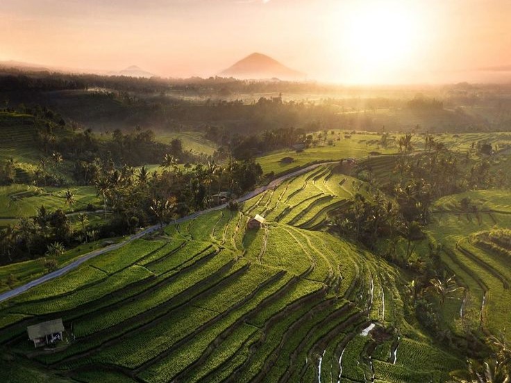 Unesco World Heritage - Jatiluwih Rice Terrace…