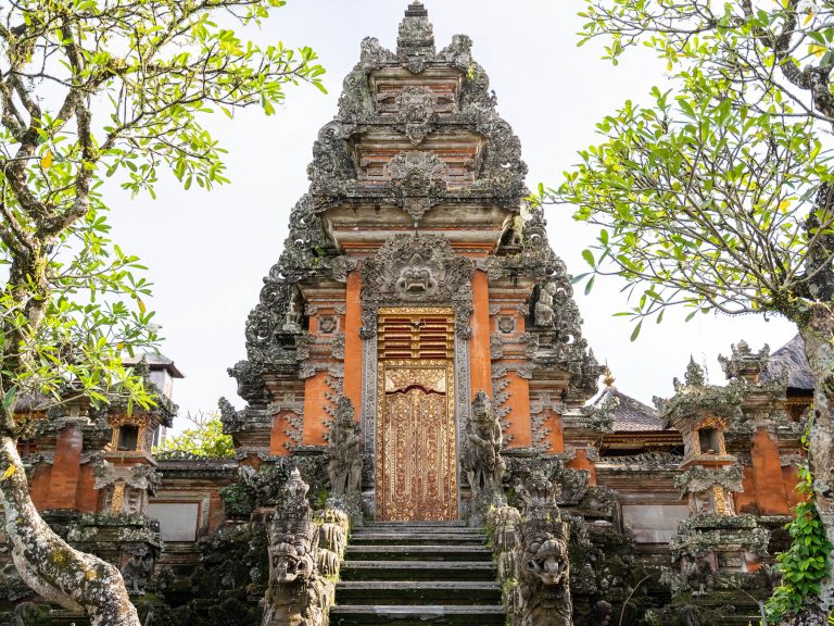 pexels-pragyanbezbo-32877832